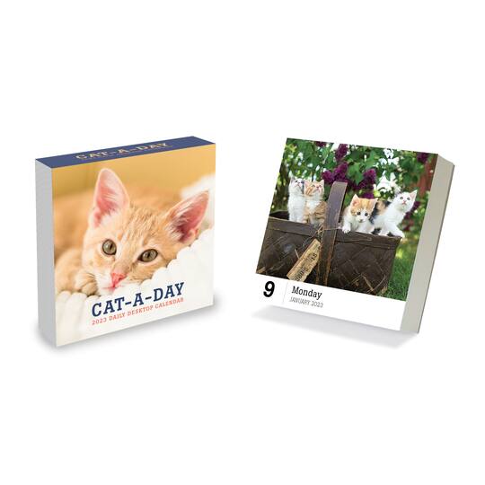 TF Publishing 2023 Cat-A-Day Daily Desktop Calendar